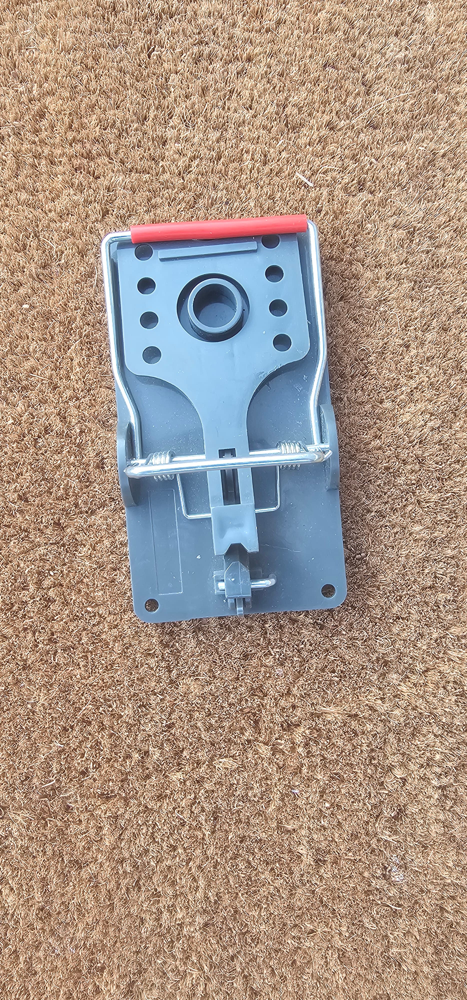 Rat & Mouse Traps