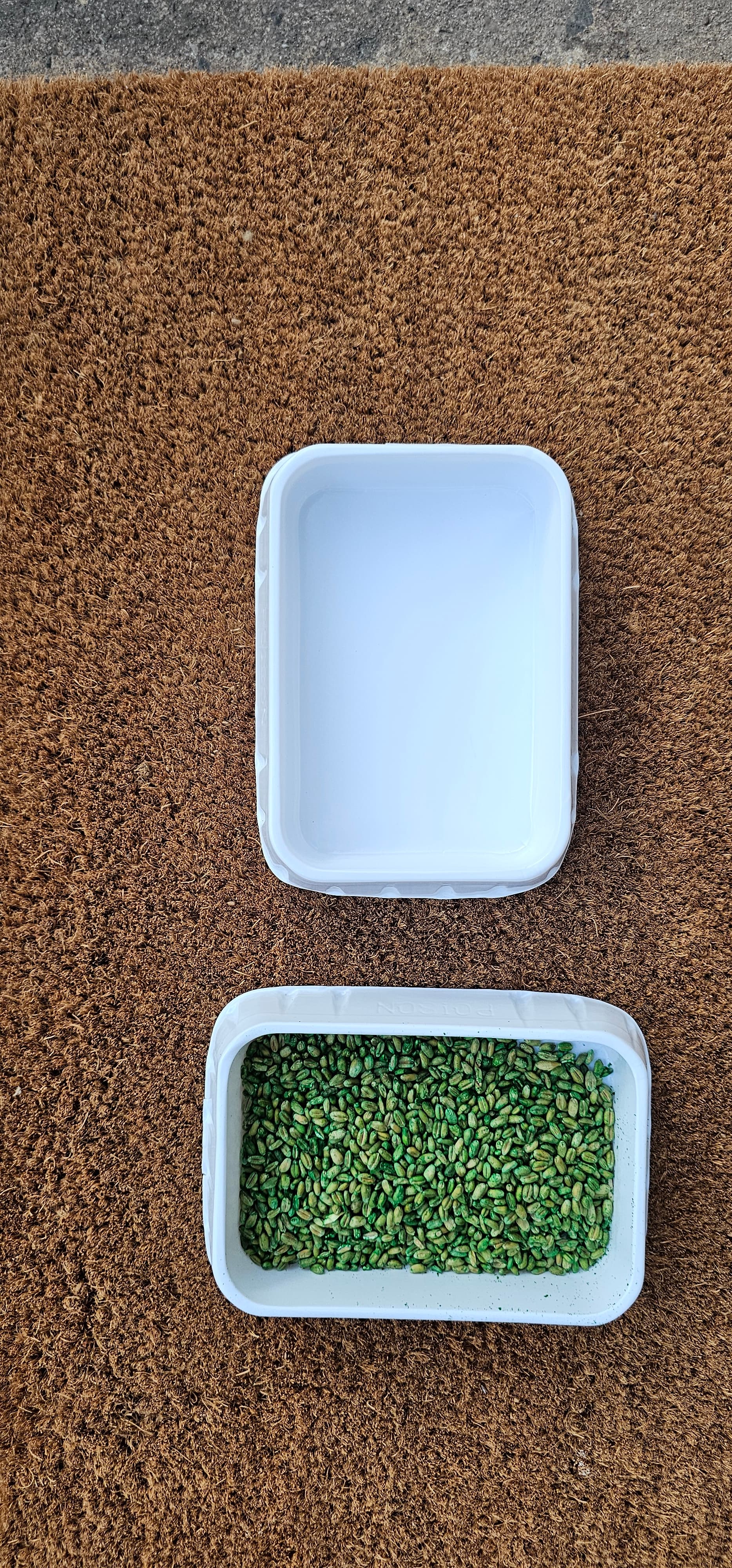 Bait Trays